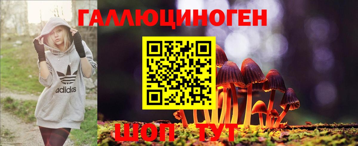 Псилоцибиновые грибы Psilocybe Донецк